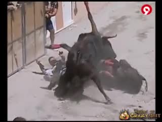 CrazyShit.com | Pissed Off Bull Goes After Horse - Crazy Shit