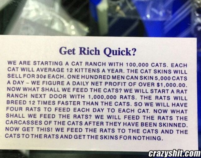 Cats and Rats Get Rich Scheme