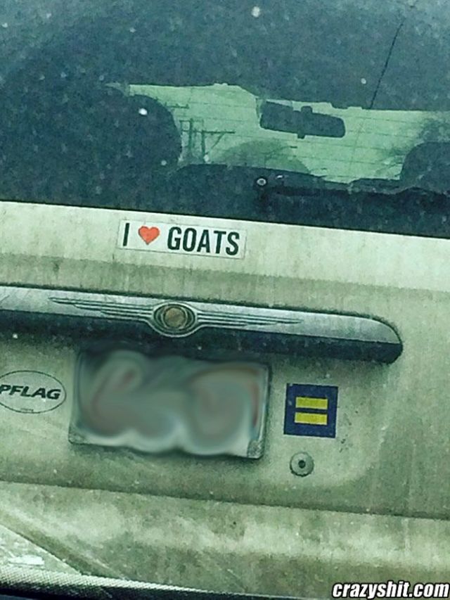 Who Loves Goats?
