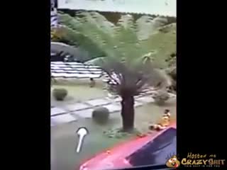 Brazilian Man Murders His Wife