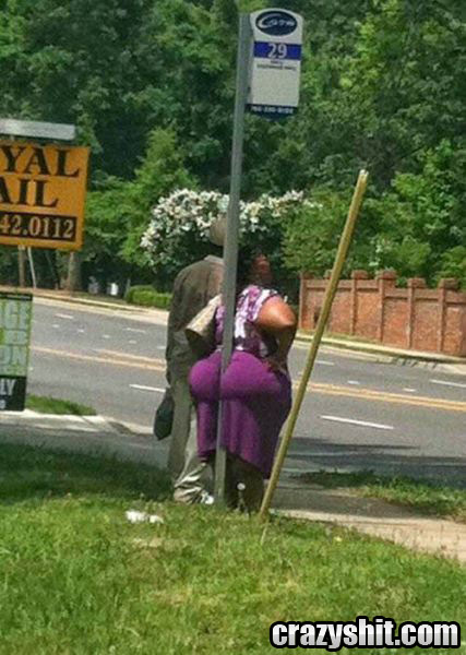 Check Out That Bus Stop Ass