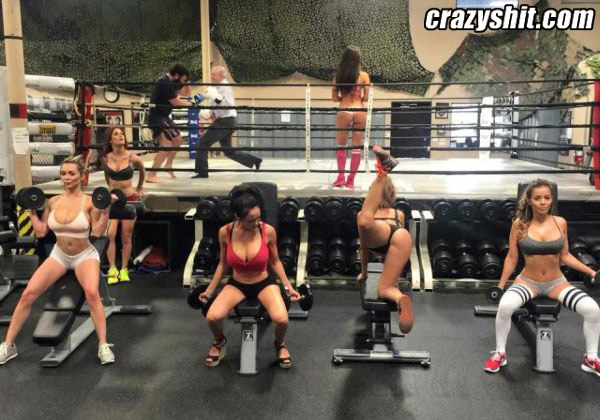 What Kind of Gym Is this?