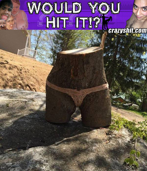 Wood You Hit It?