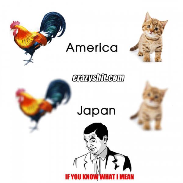 The Truth About Japan