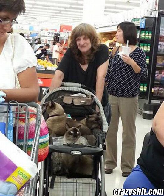 Crazy Cat Lady at Walmart
