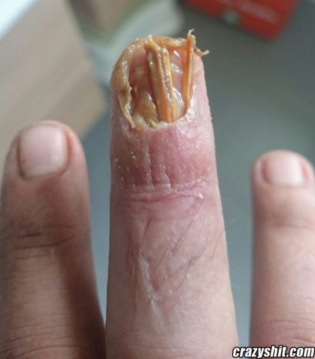 Someone Finger Fucked a Wooden Doll