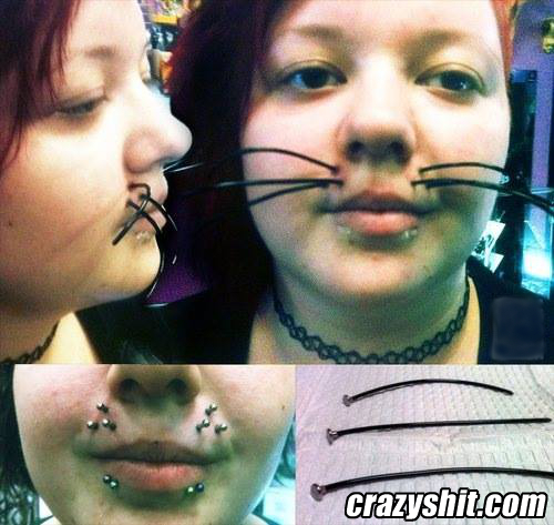 Pussy Cat Face Body Mod