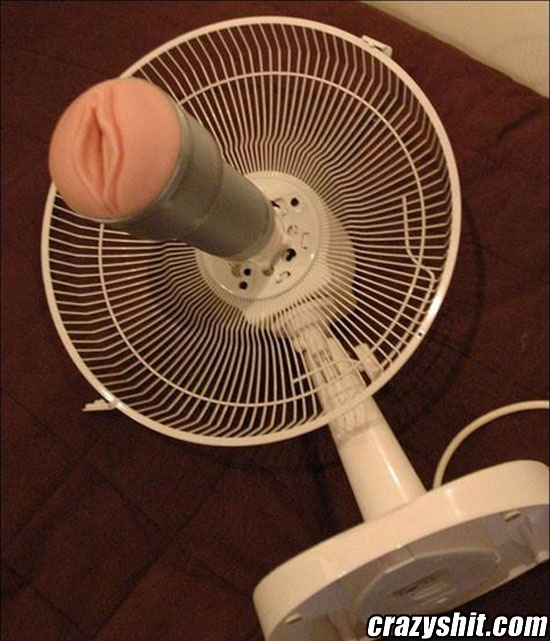 My fucking fan