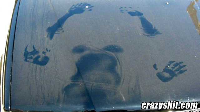 Dirty Car Sex Needs A Wash