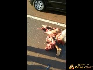CrazyShit.com | aftermath of woman vs truck - Crazy Shit