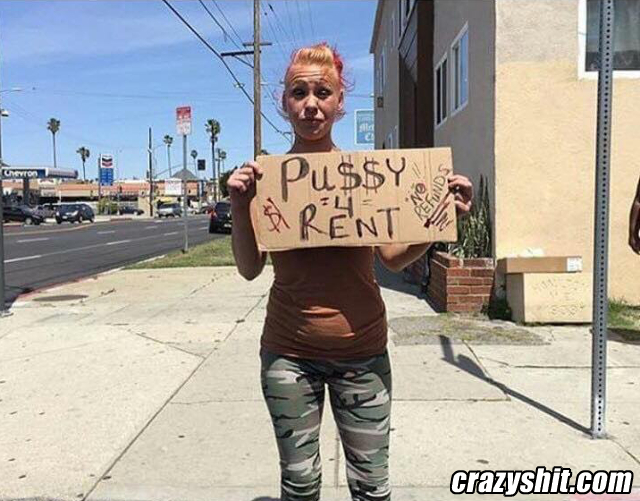 Pussy For Rent