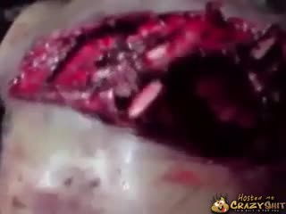 CrazyShit.com | He