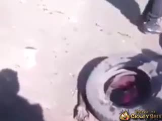 CrazyShit.com | Thief Killed In Africa