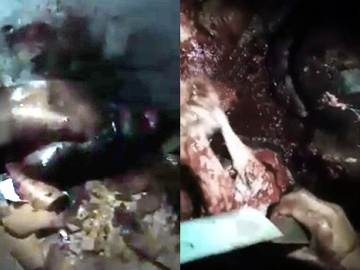 BRUTAL: KILLERS PULL VICTIMS BRAINS OUT AFTER ...