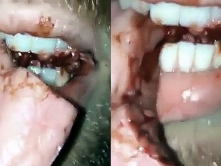 CrazyShit.com | BITE YOUR TONGUE