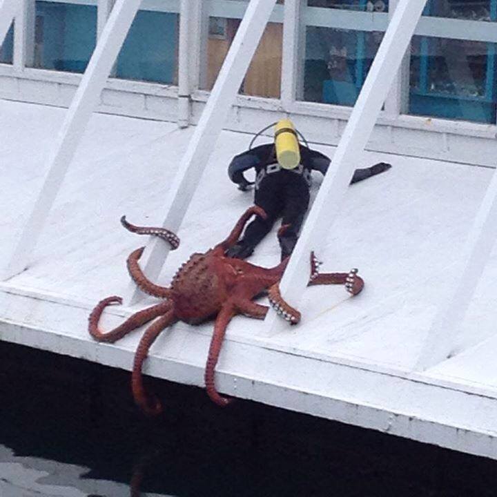 CLASSIC: CTHULHU IS REAL!