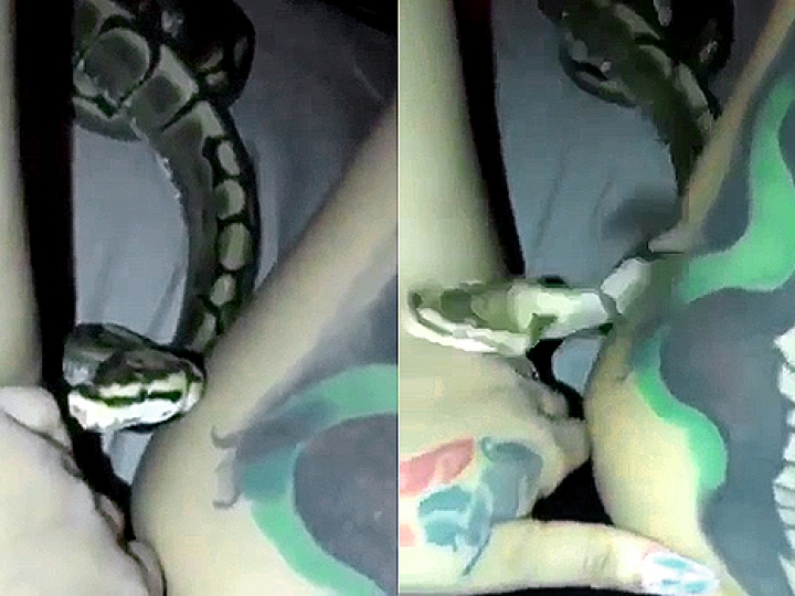 CrazyShit com ANNND THAT S WHY YOU DON T PUT A SNAKE NEAR YOUR  