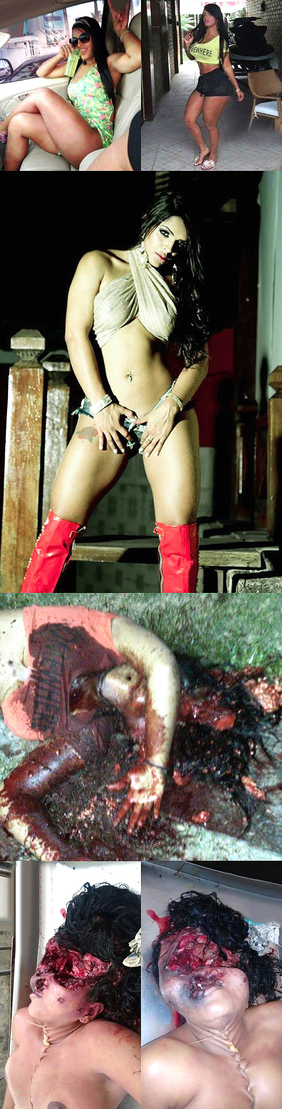 Crazyshit.com cartel