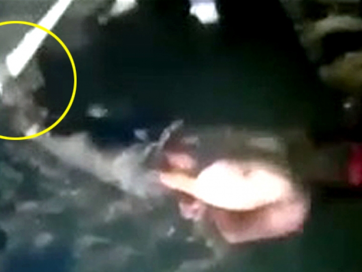 CrazyShit.com | JUST SCROLL TO THE .37 SECOND MARK. WAS THAT HIS EYEBALL?! - Crazy Shit