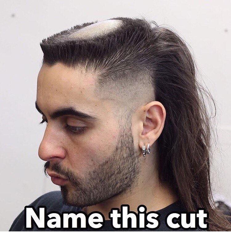 Name this cut