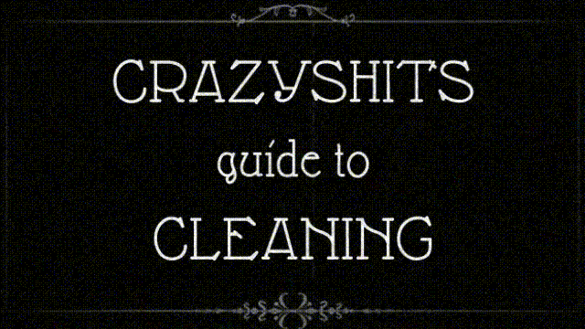 CRAZYSHIT'S GUIDE TO CLEANING