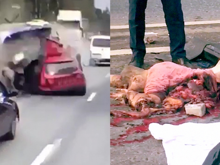 CrazyShit.com | THE UNCENSORED REALITY OF A HEAD-ON CRASH [BRUTAL] - Crazy Shit