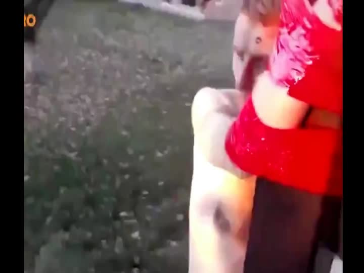 CrazyShit.com | Drug dealer whipped with cable tie~via  Captainkidd - Crazy Shit