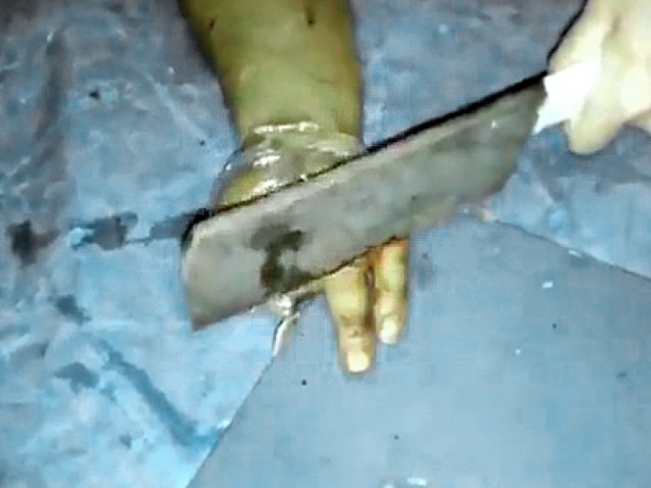 CrazyShit.com | THIS IS WHAT HAPPENS WHEN SYRIANS THINK YOU