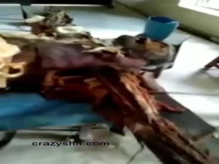 CrazyShit.com | Weird morgue clients