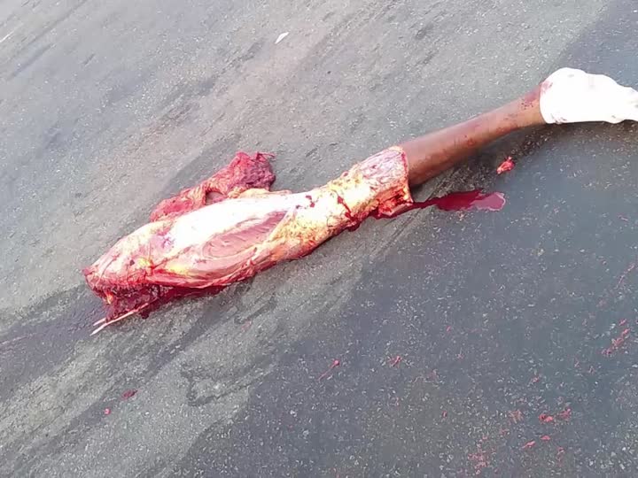 CrazyShit.com | 100% Gore - Crazy Shit