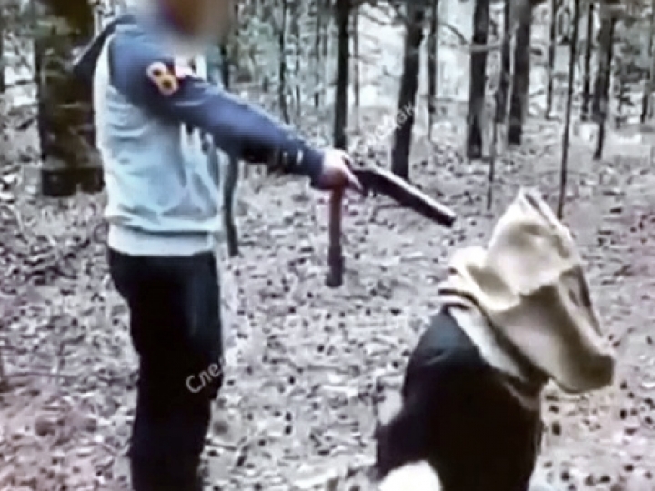 CrazyShit.com | PURE SAVAGERY: GANG FORCED HIM TO EXECUTE HIS FRIEND - Crazy Shit 