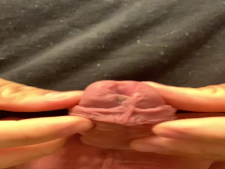 CrazyShit.com | Cutting cock - Crazy Shit