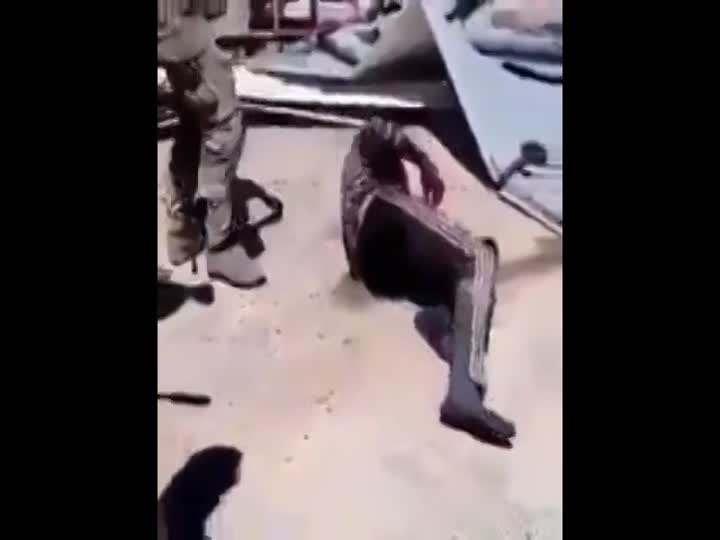 CrazyShit.com | Russians torturing and killing syrian army deserter - Crazy Shit 