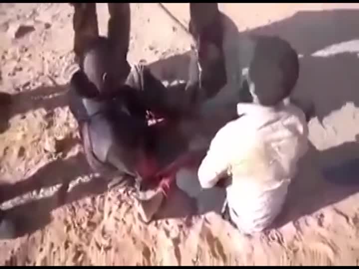 CrazyShit.com | how to educate an african by algerian soldiers - Crazy Shit