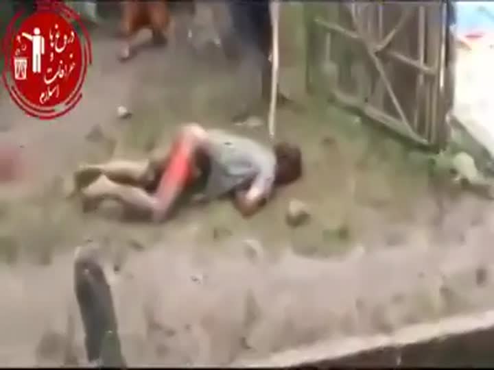 CrazyShit.com | gays punished to death by Islamists - Crazy Shit