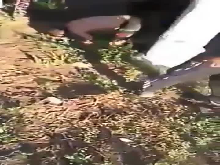 CrazyShit.com | Pervert got caught