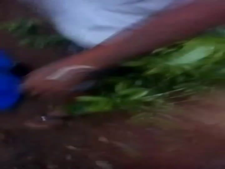 Female gang member savagely butchered