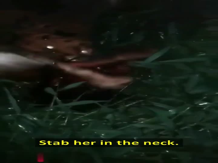 CrazyShit.com | snitches get stitches brazil style - Crazy Shit