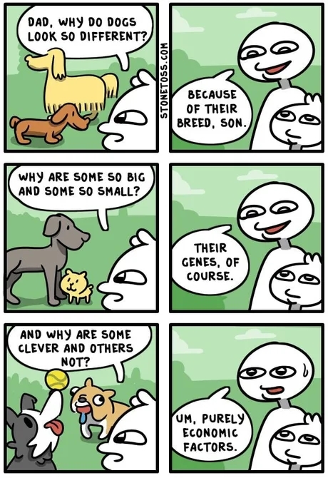 Economic Factors