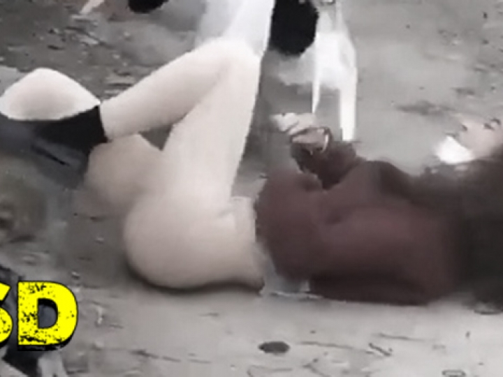 CrazyShit.com | A SHITLOAD OF PEOPLE DEFINITELY HAVING A SHITTIER DAY THAN YOU ▶