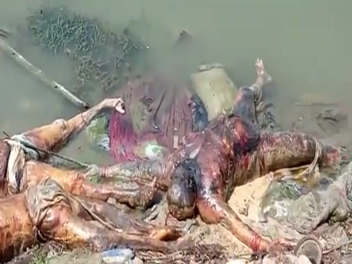 CrazyShit.com | COVID river in India