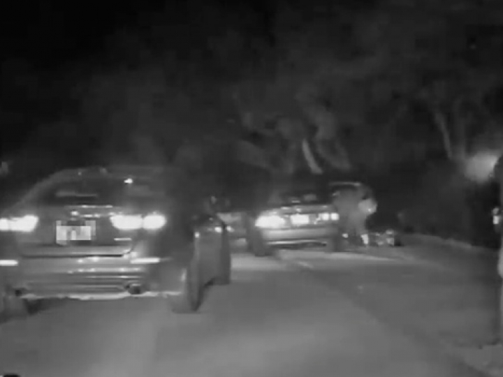 CrazyShit.com | ROADRAGE DOA - Crazy Shit