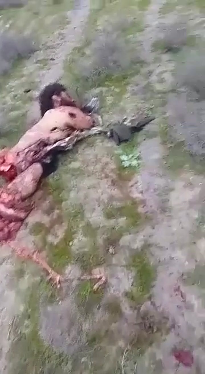 CrazyShit.com | terrorist attack fail - Crazy Shit