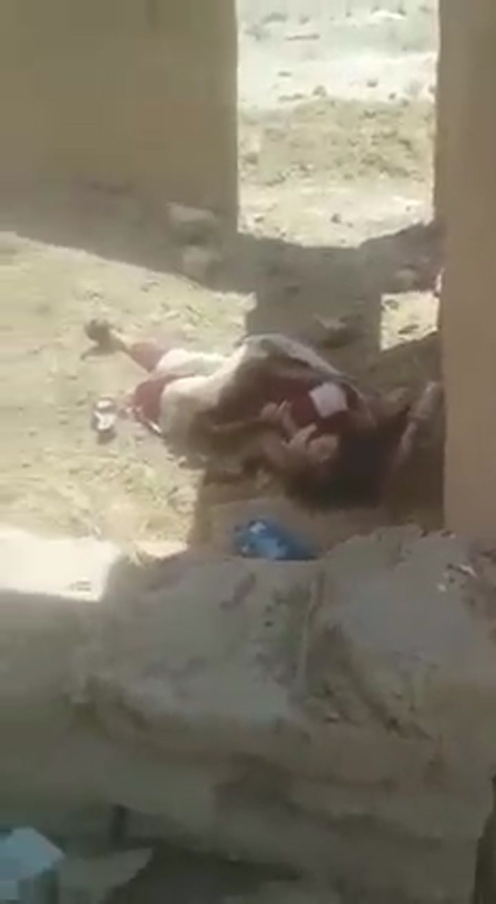 CrazyShit.com | Woman being murdered by desert rats - Crazy Shit