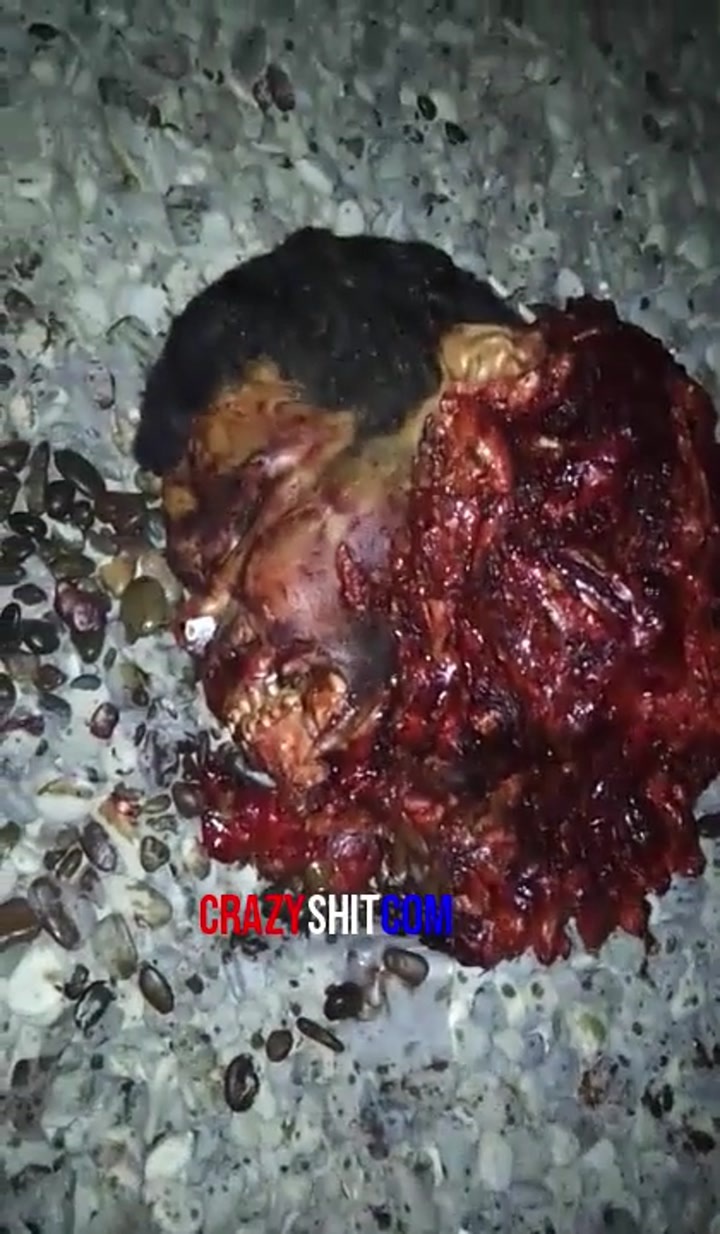 CrazyShit.com | Smile of the suicide bomber - Crazy Shit