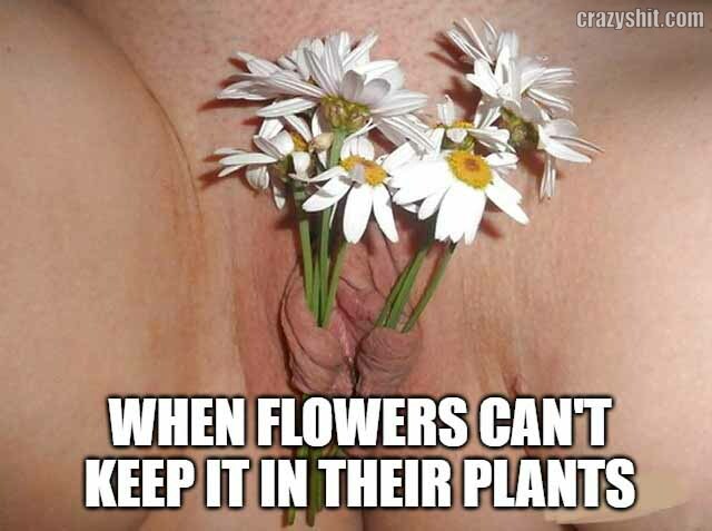 KEEP IT IN YOUR PLANTS