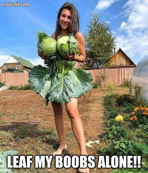 Girl in vegetable