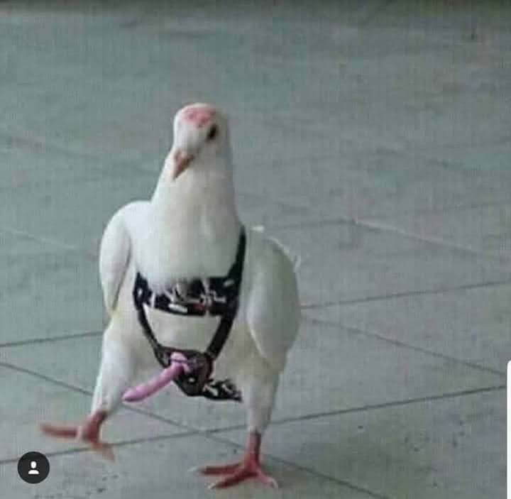 Cuando aparece el espíritu santo.