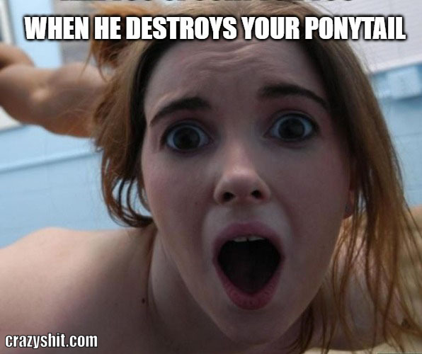 you destroyed my ponytail