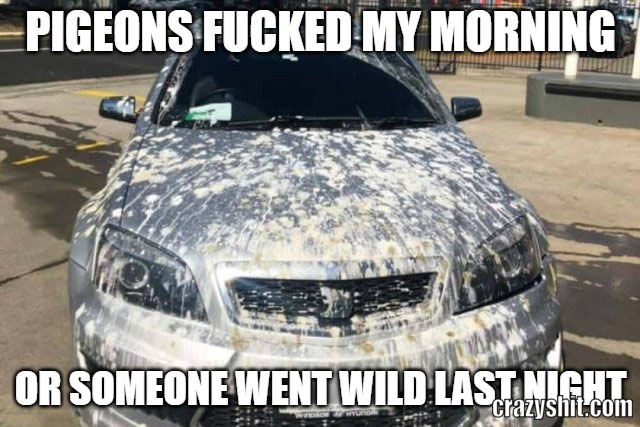 my car needs cleaning